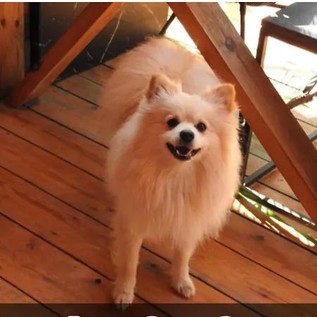 Camping ла пуеста де соль