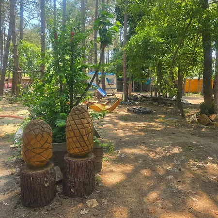 캠프장 ла пуеста де соль *